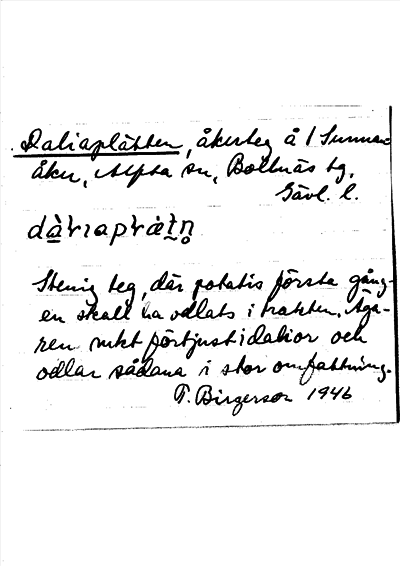Bild på arkivkortet för arkivposten Daliaplätten