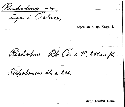 Bild på arkivkortet för arkivposten Risholme -n