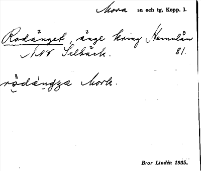 Bild på arkivkortet för arkivposten Rodänget
