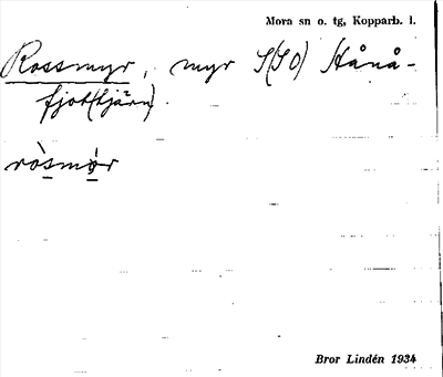Bild på arkivkortet för arkivposten Rossmyr