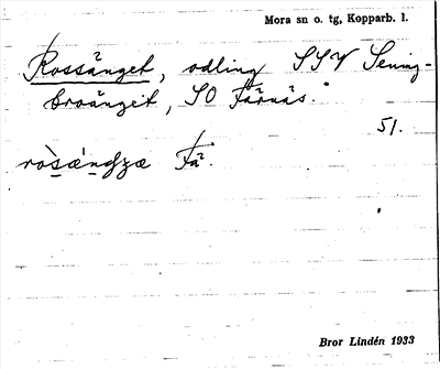 Bild på arkivkortet för arkivposten Rossänget