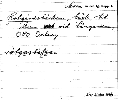 Bild på arkivkortet för arkivposten Rotgärdsbäcken