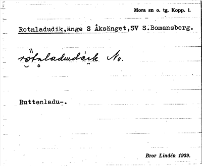 Bild på arkivkortet för arkivposten Rotnladudik