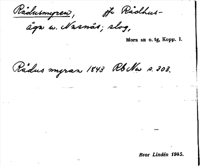 Bild på arkivkortet för arkivposten Rådusmyren