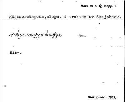 Bild på arkivkortet för arkivposten Räjsmorsängena
