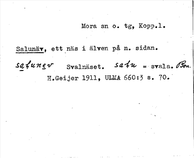 Bild på arkivkortet för arkivposten Salunäv