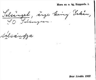 Bild på arkivkortet för arkivposten Selsänget