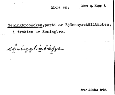 Bild på arkivkortet för arkivposten Seningbrobäcken