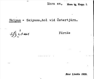 Bild på arkivkortet för arkivposten Skipus