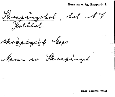 Bild på arkivkortet för arkivposten Skrapängshol
