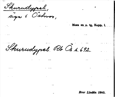 Bild på arkivkortet för arkivposten Skurudypel