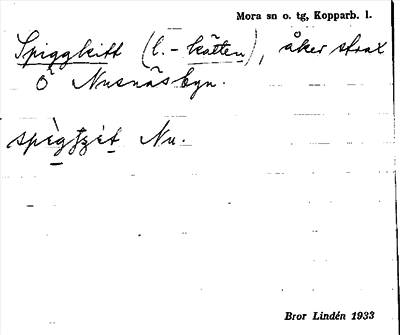 Bild på arkivkortet för arkivposten Spiggkitt (l. -kätten)