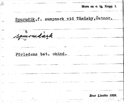 Bild på arkivkortet för arkivposten Spurudik