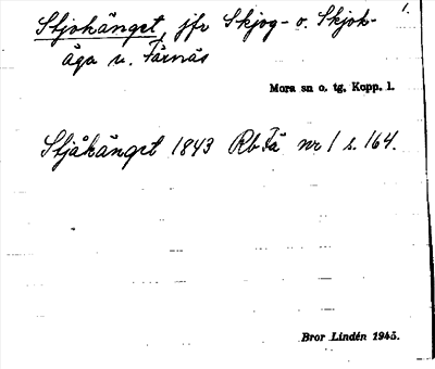 Bild på arkivkortet för arkivposten Stjokänget