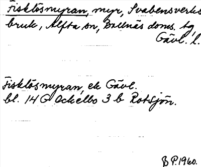 Bild på arkivkortet för arkivposten Fisklösmyran