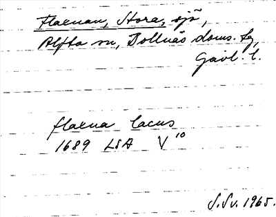 Bild på arkivkortet för arkivposten Flaxnan, Stora