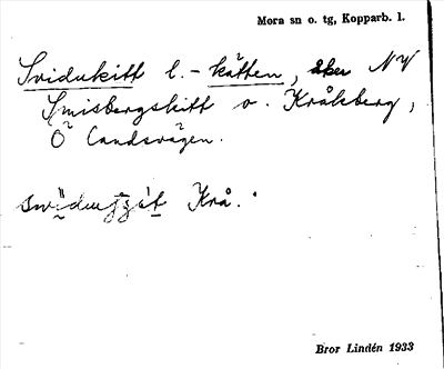 Bild på arkivkortet för arkivposten Svidukitt-kätten
