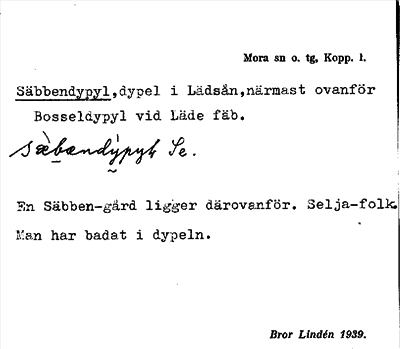 Bild på arkivkortet för arkivposten Säbbendypyl