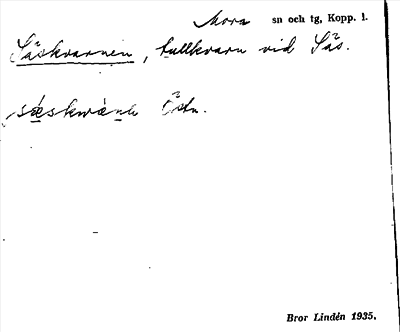 Bild på arkivkortet för arkivposten Säskvarnen