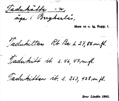 Bild på arkivkortet för arkivposten Tadukätte -n