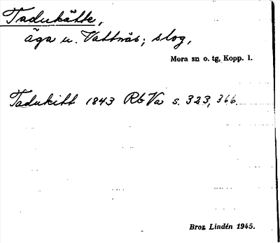 Bild på arkivkortet för arkivposten Tadukätte