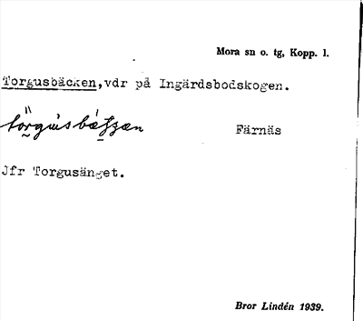 Bild på arkivkortet för arkivposten Torgusbäcken