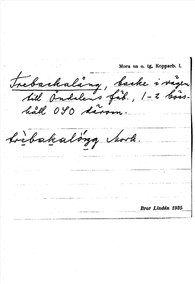 Bild på arkivkortet för arkivposten Trebackalång