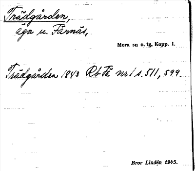 Bild på arkivkortet för arkivposten Trädgården