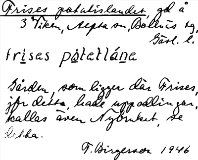 Bild på arkivkortet för arkivposten Frises potatislandet