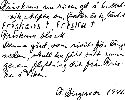 Bild på arkivkortet för arkivposten Friskens
