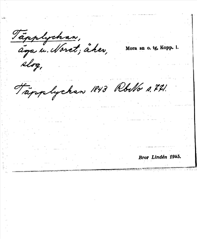 Bild på arkivkortet för arkivposten Täpplyckan
