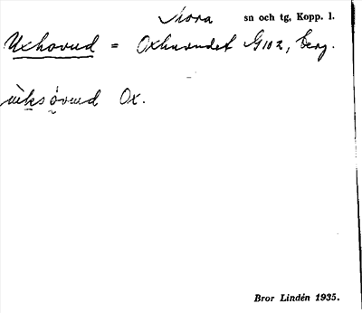 Bild på arkivkortet för arkivposten Uxhovud