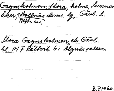 Bild på arkivkortet för arkivposten Gagnsholmen, Stora