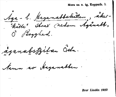 Bild på arkivkortet för arkivposten Åga- l. Haganabbskätten