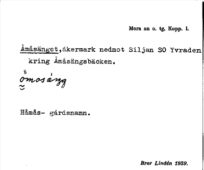 Bild på arkivkortet för arkivposten Åmåsänget