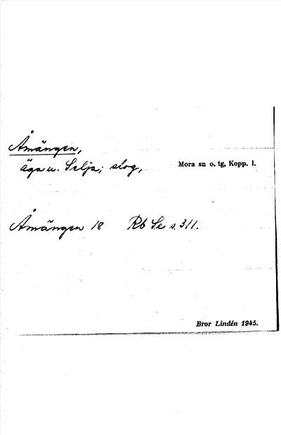 Bild på arkivkortet för arkivposten Åmängen