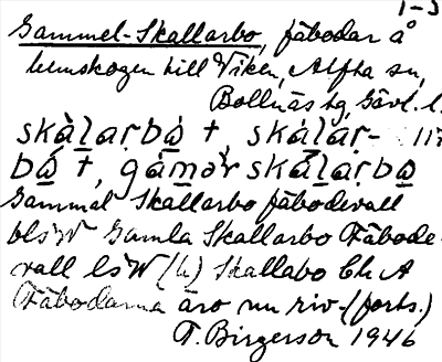 Bild på arkivkortet för arkivposten Gammel-Skallarbo
