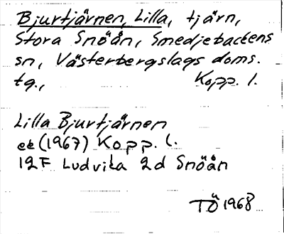 Bild på arkivkortet för arkivposten Bjurtjärnen, Lilla