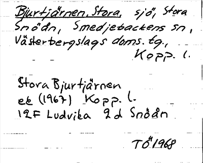 Bild på arkivkortet för arkivposten Bjurtjärnen, Stora