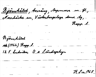 Bild på arkivkortet för arkivposten Björnhålet