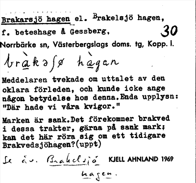 Bild på arkivkortet för arkivposten Brakarsjö hagen