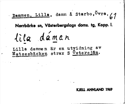 Bild på arkivkortet för arkivposten Dammen, Lilla