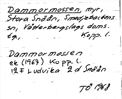 Bild på arkivkortet för arkivposten Dammormossen