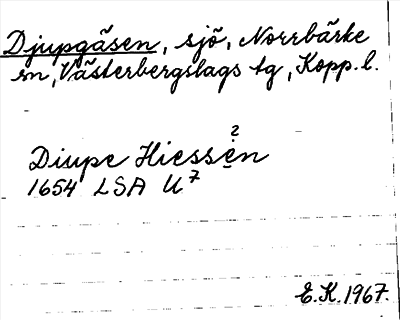 Bild på arkivkortet för arkivposten Djupgäsen