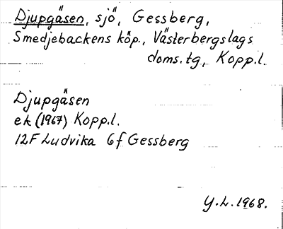 Bild på arkivkortet för arkivposten Djupgäsen