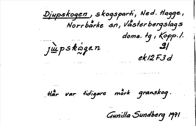 Bild på arkivkortet för arkivposten Djupskogen