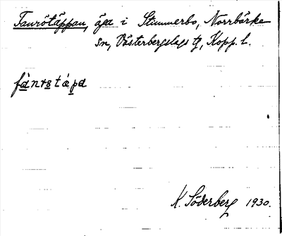 Bild på arkivkortet för arkivposten Fanrötäppan