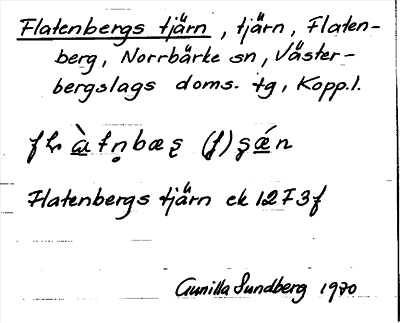 Bild på arkivkortet för arkivposten Flatenbergs tjärn
