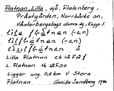 Bild på arkivkortet för arkivposten Flatnan, Lilla