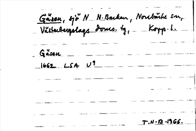 Bild på arkivkortet för arkivposten Gäsen
